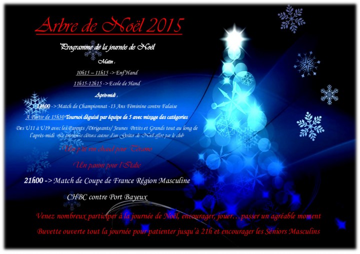 ARBRE DE NOEL CHBC 2015